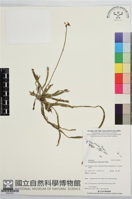 登錄號:BS07561藏品圖，第1張