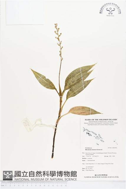 登錄號:BS01961藏品圖，第1張
