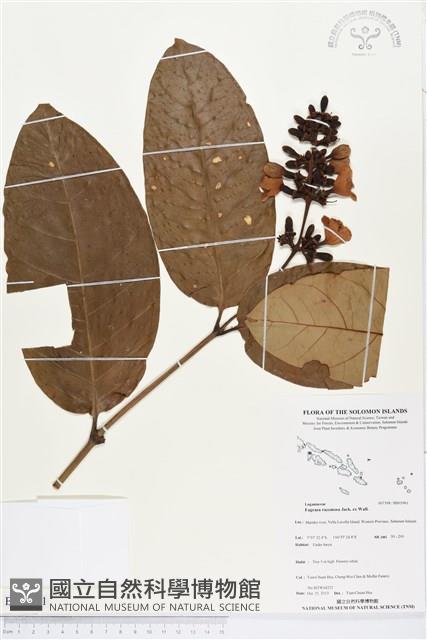 登錄號:BS03961藏品圖，第1張