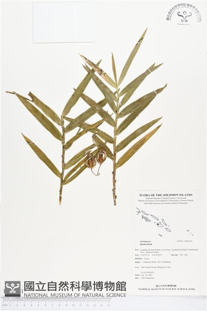 登錄號:BS01361藏品圖，第1張
