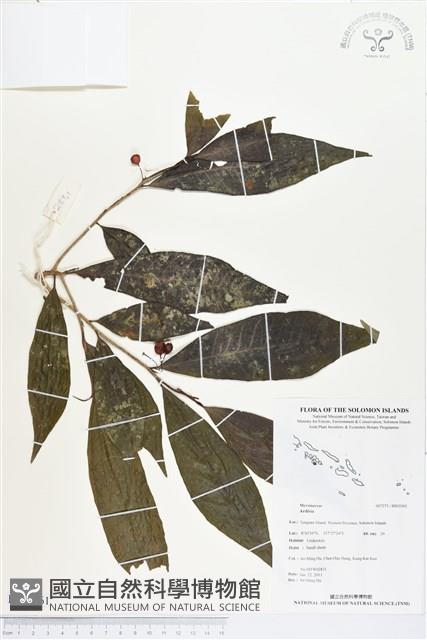 登錄號:BS03361藏品圖，第1張