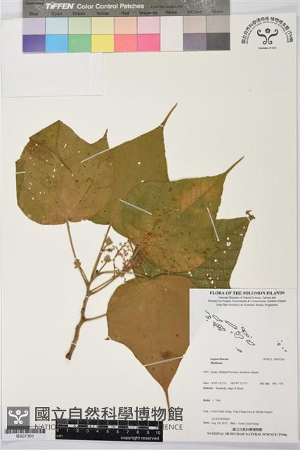 登錄號:BS07361藏品圖，第1張