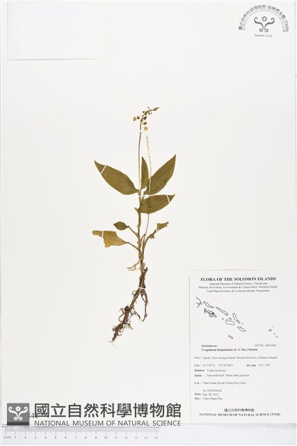 登錄號:BS01841藏品圖，第1張