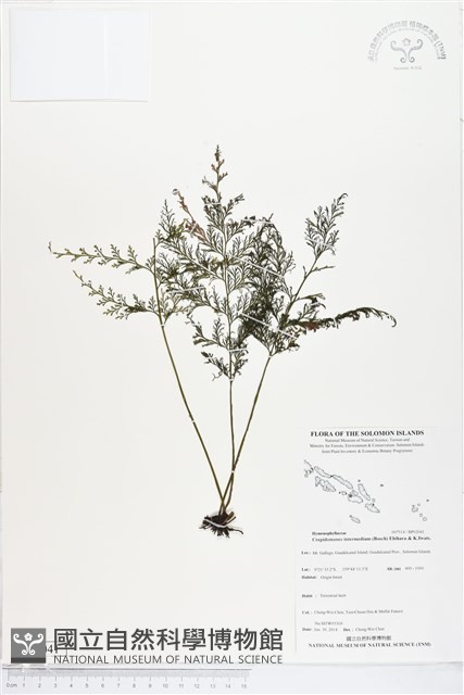 登錄號:BP02041藏品圖，第1張
