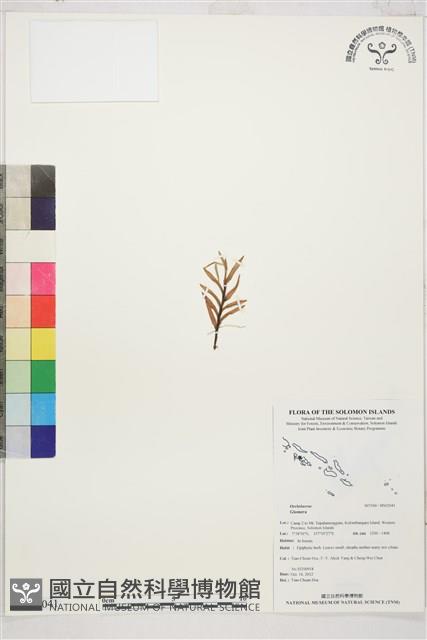 登錄號:BS02041藏品圖，第1張