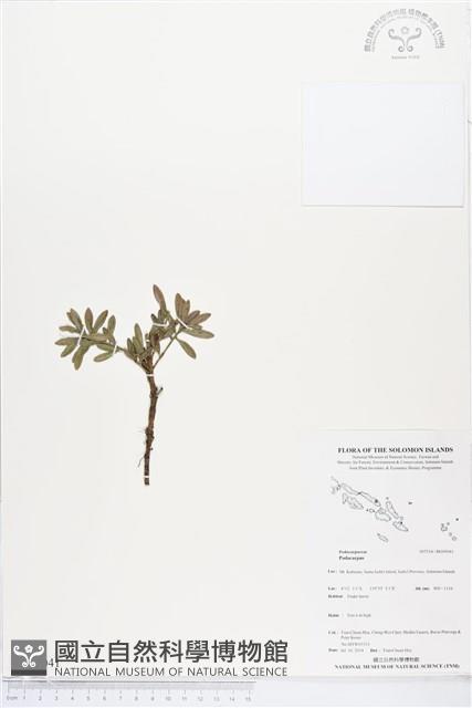 登錄號:BG00041藏品圖，第1張