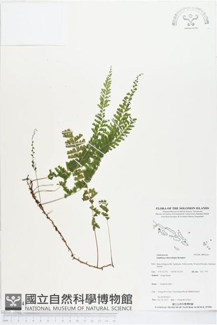 登錄號:BP01641藏品圖，第1張