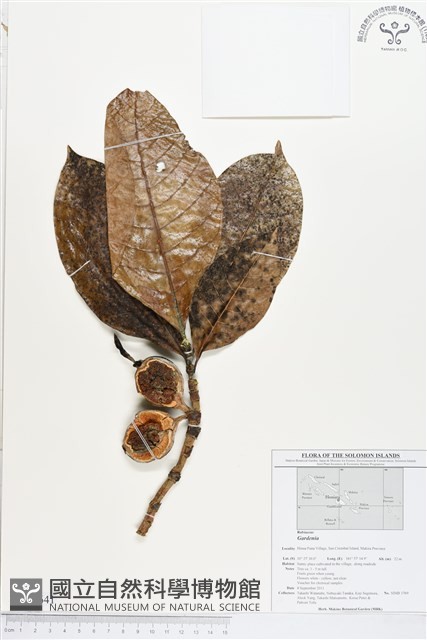 登錄號:BS01641藏品圖，第1張