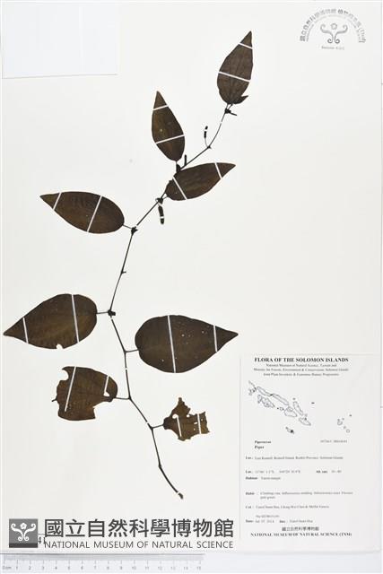 登錄號:BS04641藏品圖，第1張