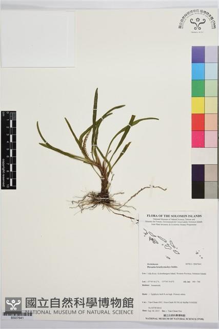 登錄號:BS07641藏品圖，第1張