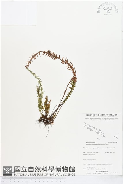 登錄號:BP01141藏品圖，第1張