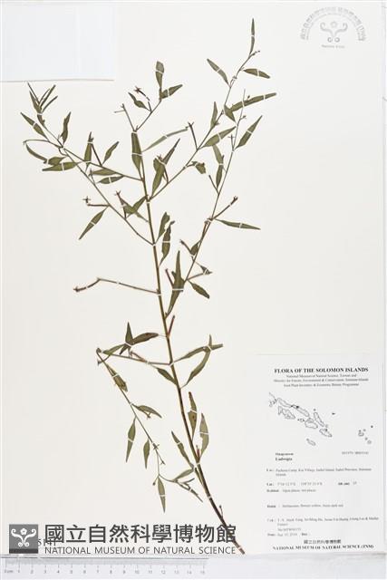 登錄號:BS05141藏品圖，第1張