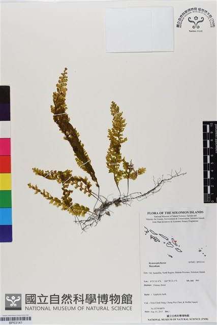 登錄號:BP03141藏品圖，第1張