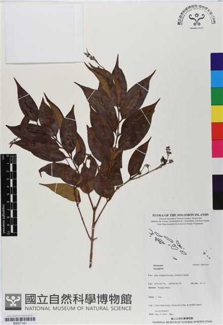 登錄號:BS07141藏品圖，第1張
