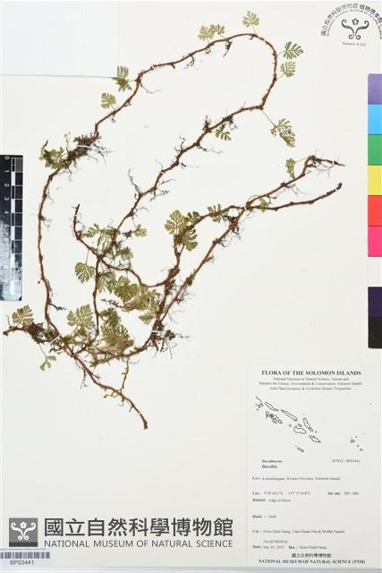 登錄號:BP03441藏品圖，第1張