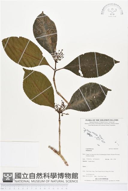 登錄號:BS03441藏品圖，第1張