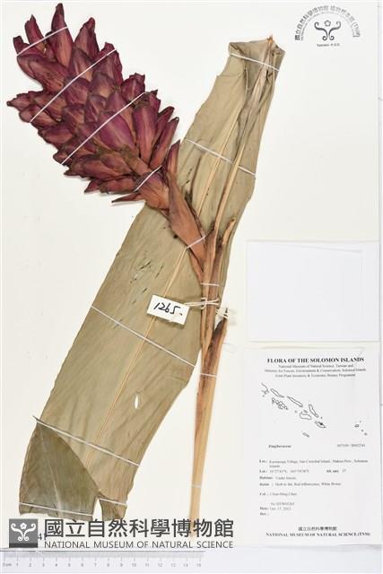 登錄號:BS02241藏品圖，第1張