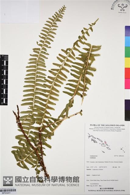 登錄號:BP03241藏品圖，第1張