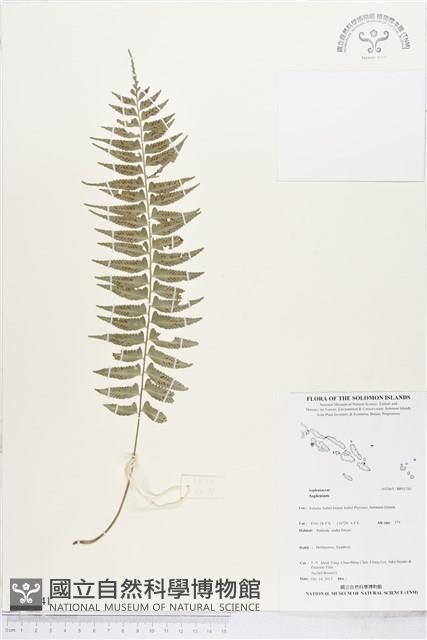 登錄號:BP01741藏品圖，第1張