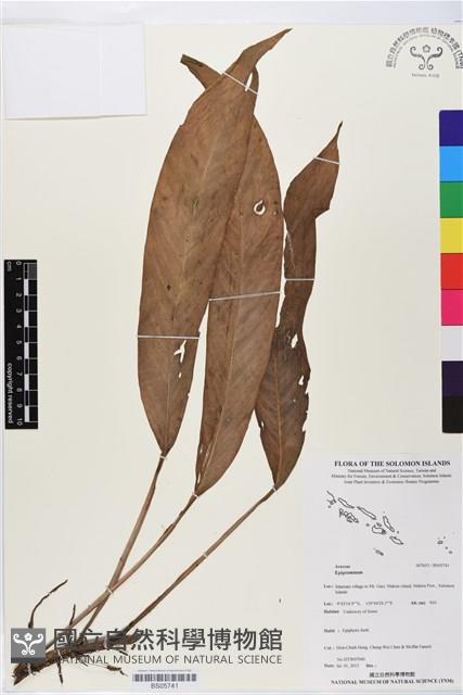 登錄號:BS05741藏品圖，第1張