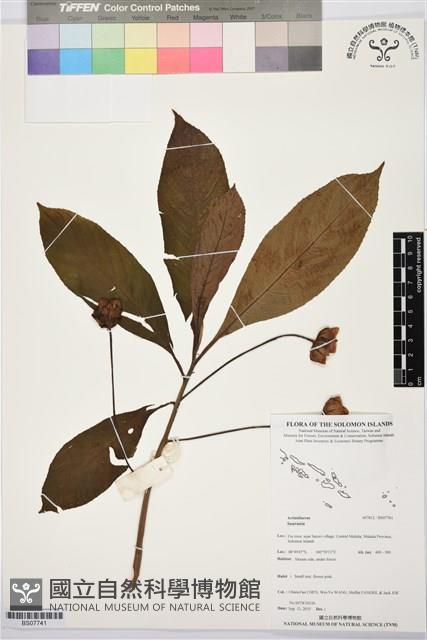 登錄號:BS07741藏品圖，第1張