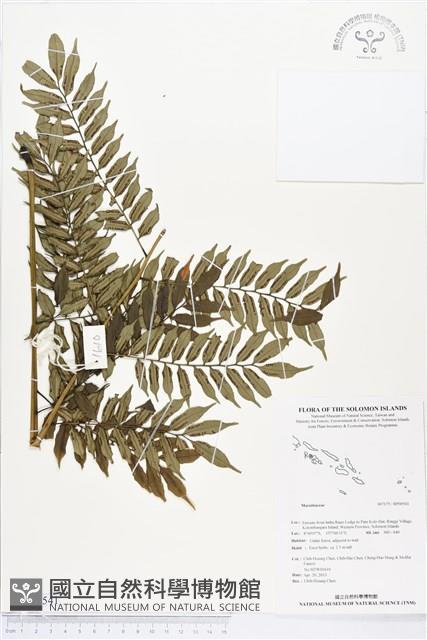 登錄號:BP00541藏品圖，第1張