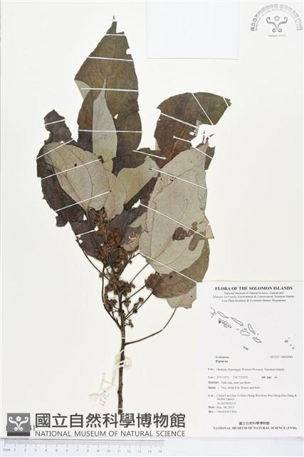 登錄號:BS02941藏品圖，第1張