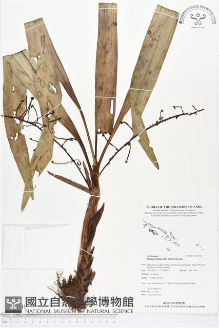 登錄號:BS01941藏品圖，第1張