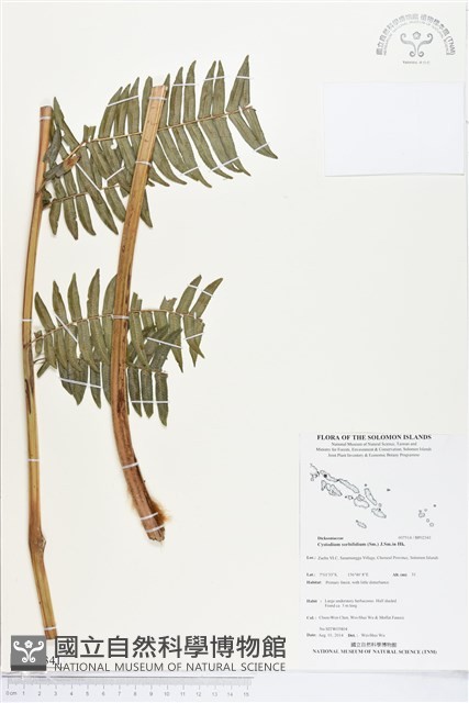 登錄號:BP02341藏品圖，第1張