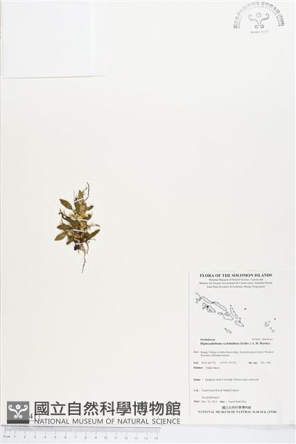 登錄號:BS04341藏品圖，第1張