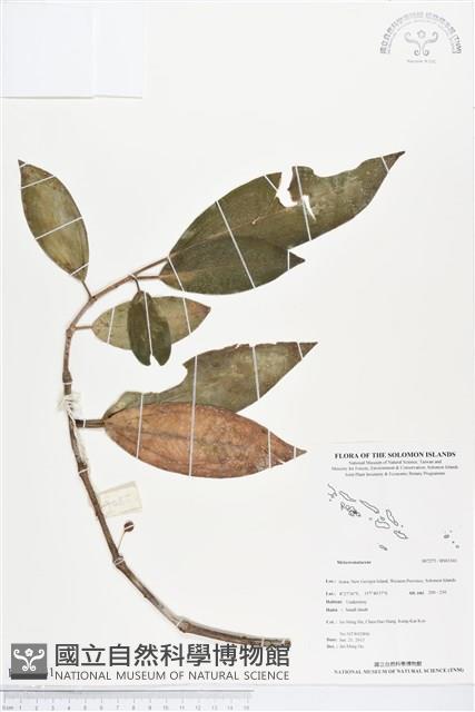 登錄號:BS03341藏品圖，第1張