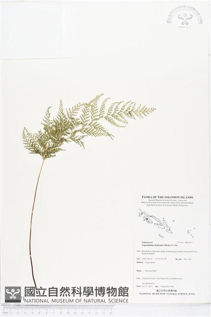 登錄號:BP01871藏品圖，第1張