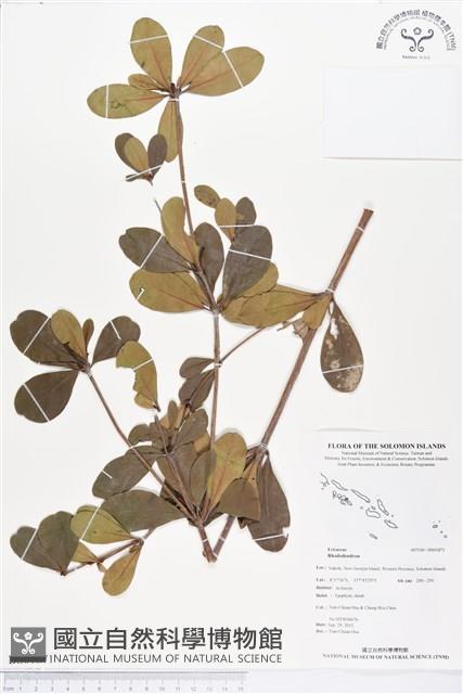 登錄號:BS01871藏品圖，第1張