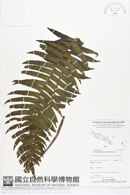 登錄號:BP02071藏品圖，第1張