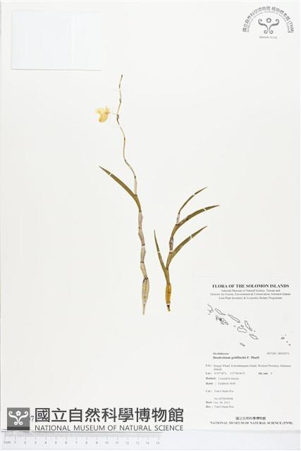 登錄號:BS02071藏品圖，第1張