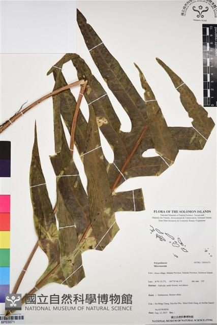 登錄號:BP03071藏品圖，第1張