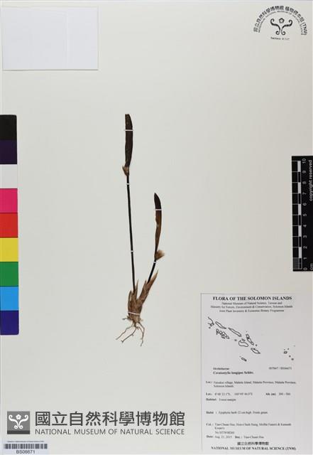 登錄號:BS06671藏品圖，第1張