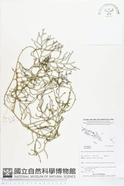 登錄號:BP01671藏品圖，第1張