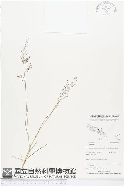 登錄號:BS04671藏品圖，第1張