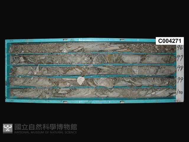 登錄號:C004271藏品圖，第1張