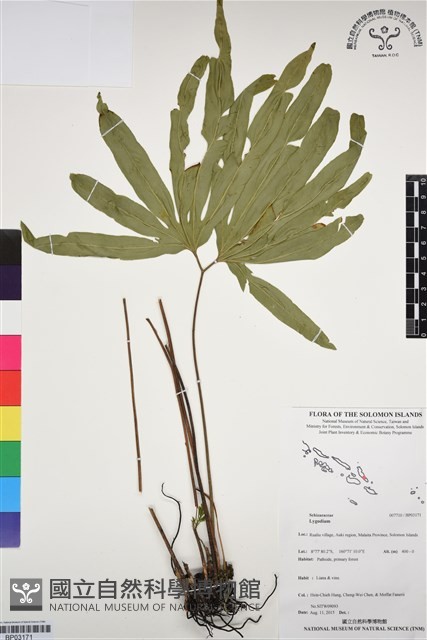 登錄號:BP03171藏品圖，第1張