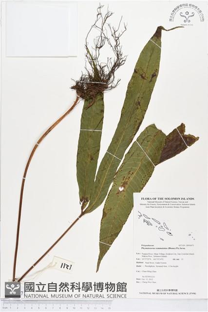 登錄號:BP00471藏品圖，第1張