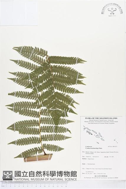 登錄號:BP01471藏品圖，第1張