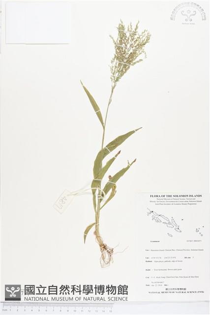 登錄號:BS04471藏品圖，第1張