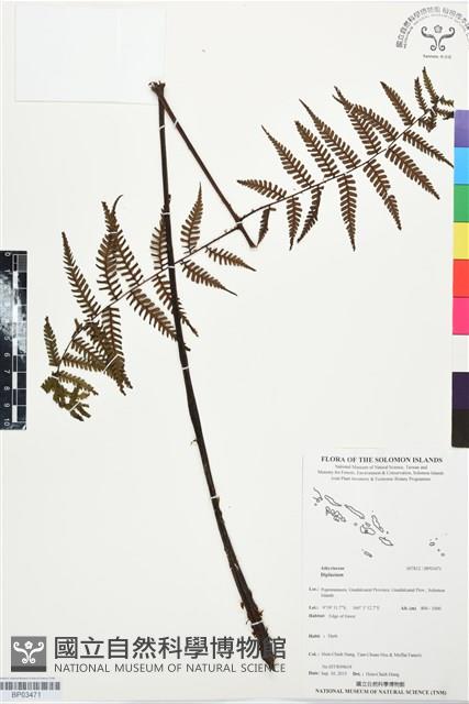 登錄號:BP03471藏品圖，第1張