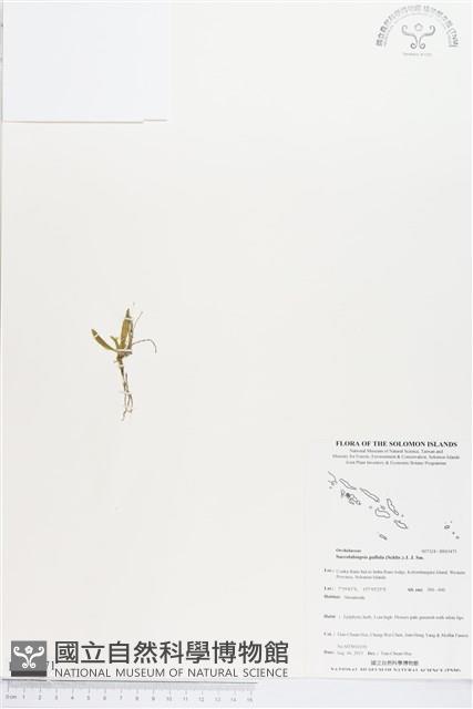 登錄號:BS03471藏品圖，第1張