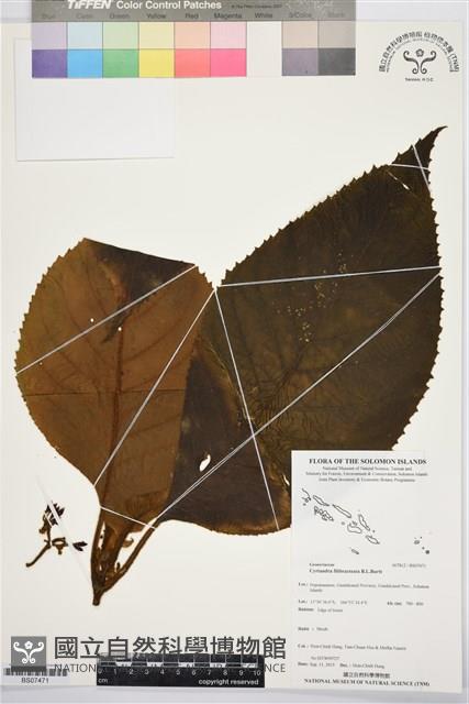 登錄號:BS07471藏品圖，第1張