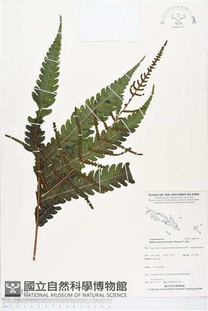 登錄號:BP02271藏品圖，第1張