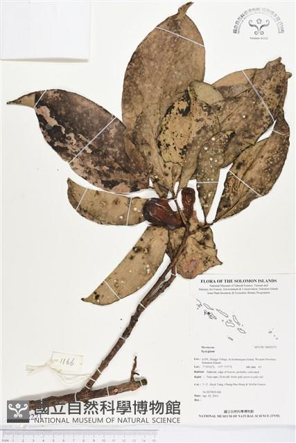 登錄號:BS02271藏品圖，第1張