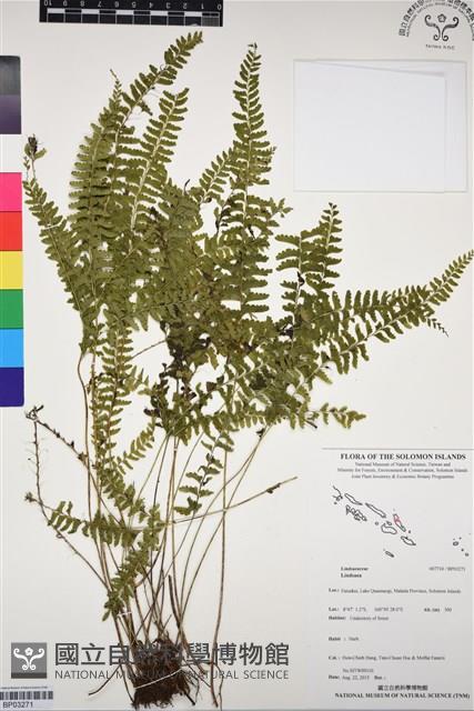 登錄號:BP03271藏品圖，第1張